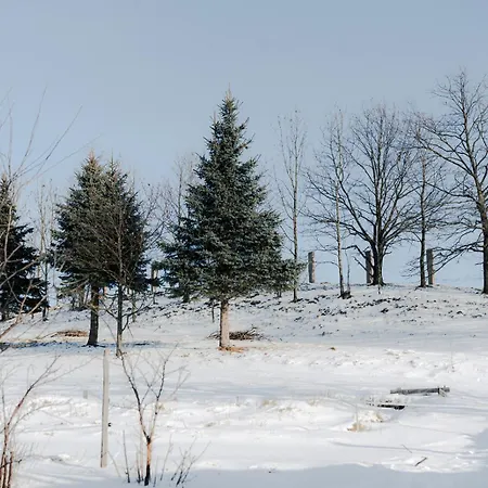 Drewniany * Bukowiec (Lower Silesia)