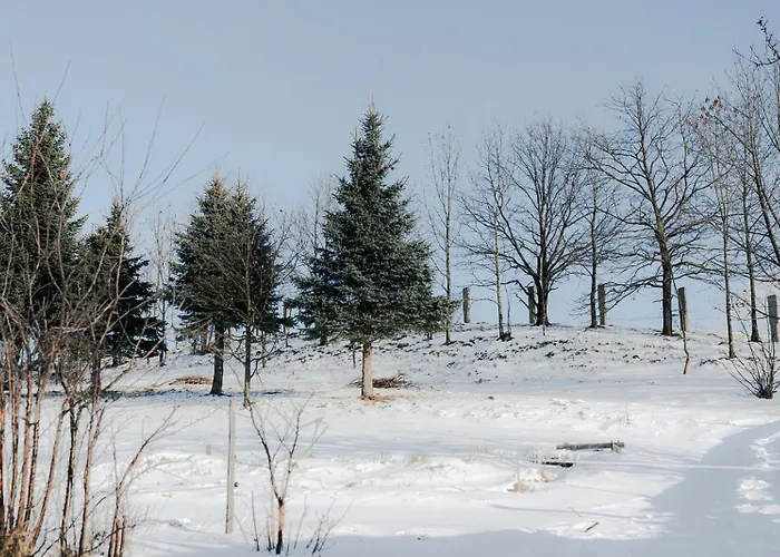 Drewniany * Bukowiec (Lower Silesia)